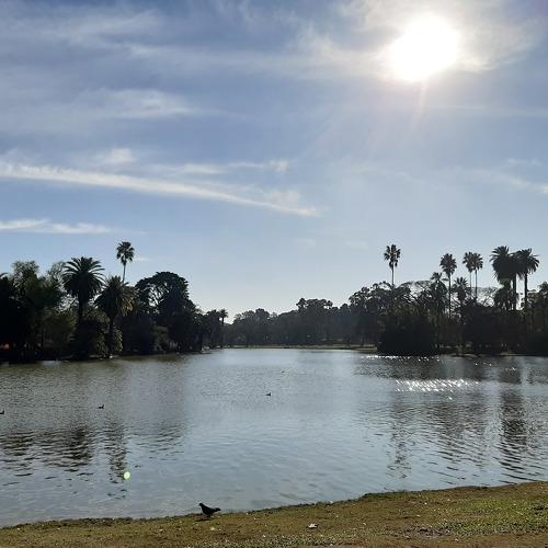 Photo #4885718