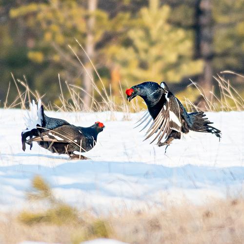 Photo #4885944