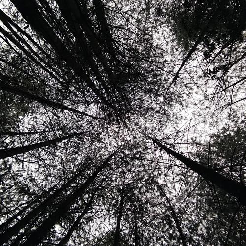 Photo #4886311