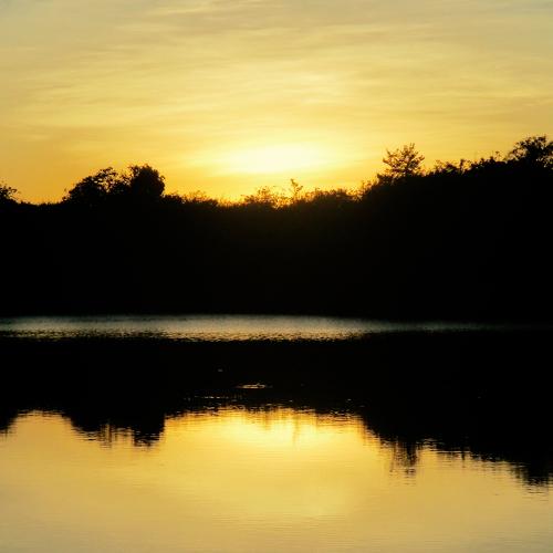 Sunset shot mkush river