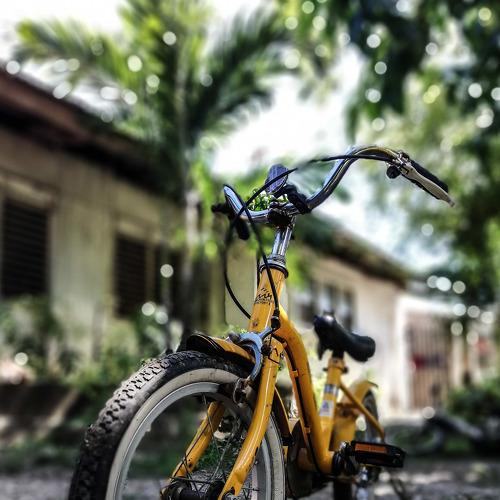 Photo #4887009
