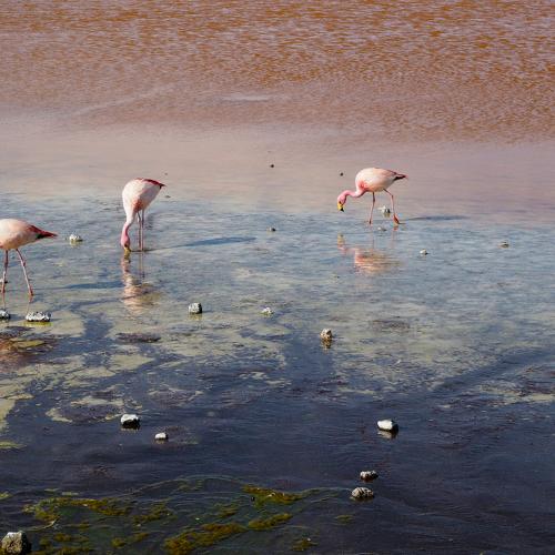 Photo #4887266