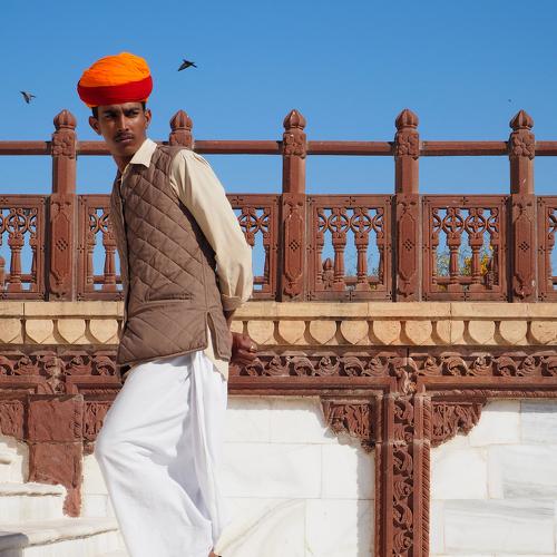 Photo #4887352