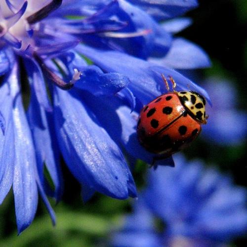 Photo #4887907