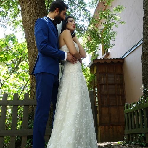Photo #4888112