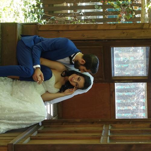 Photo #4888116