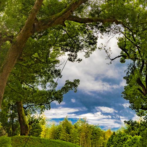 Photo #4888118