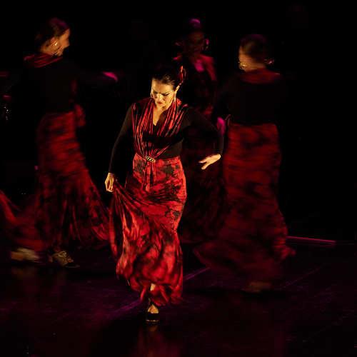 Photo #4888161