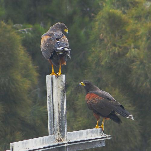 Photo #4888470