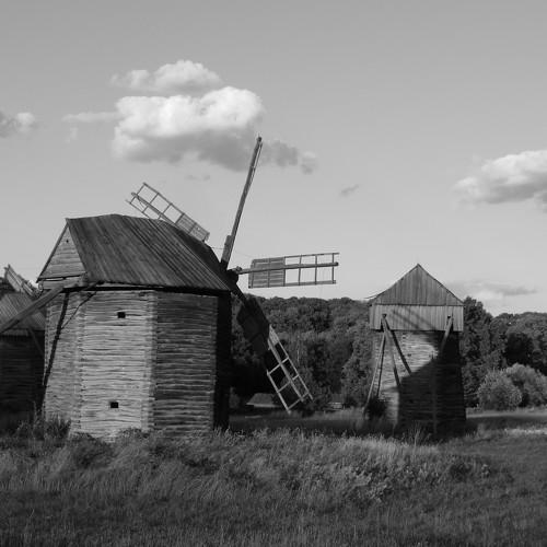 Photo #4888565