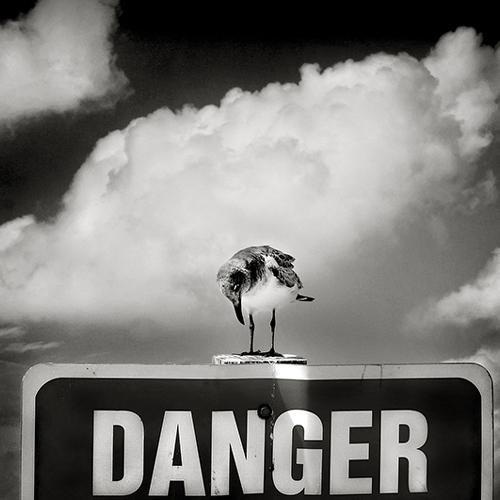 I think I'm in danger here!
