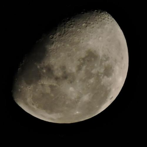 Photo #4888728