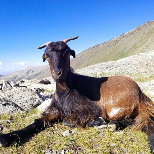 Photo #4889805