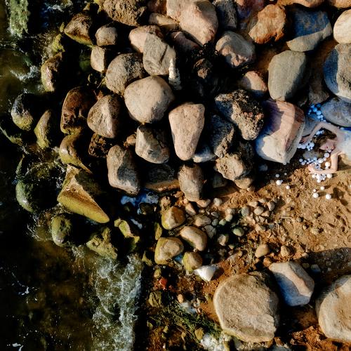 Photo #4889832