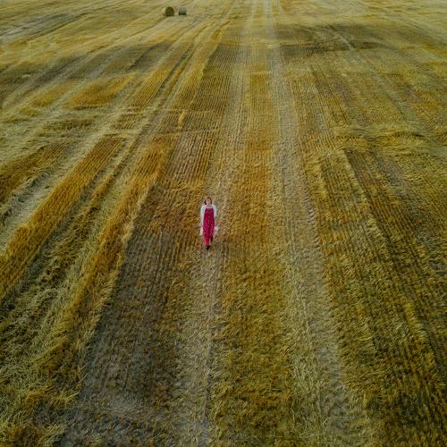 Photo #4889837