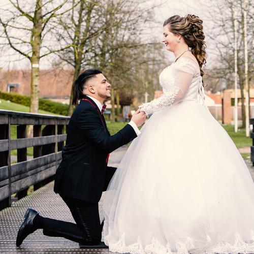 Photo #4889928