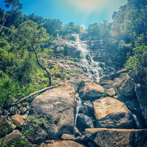 Photo #4890633