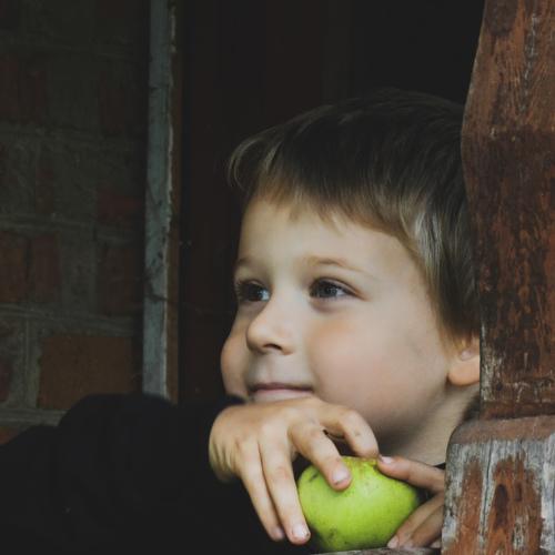 Photo #4891119
