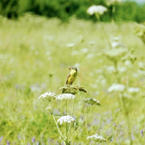 Photo #4891137