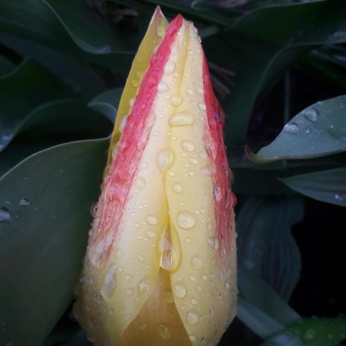 Photo #4892086