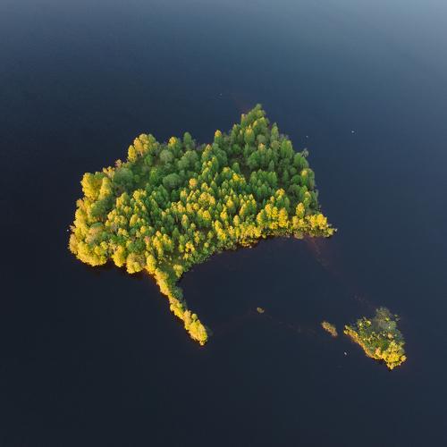 Photo #4892303