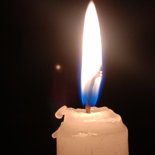 Photo #4893051