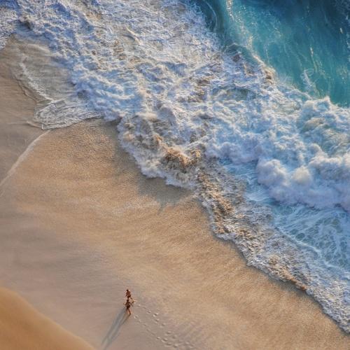 Summer Breeze