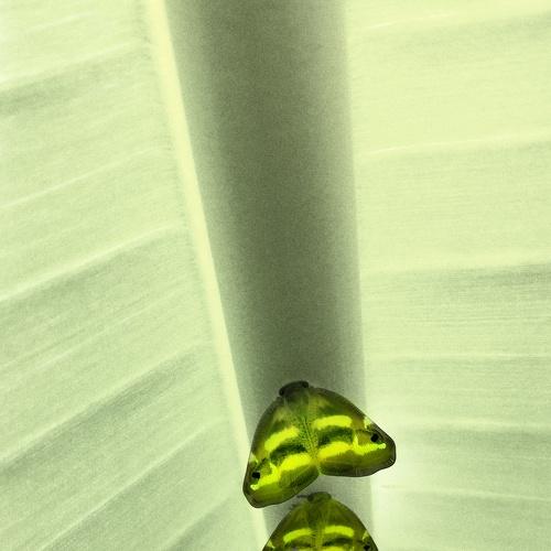 Photo #4893395