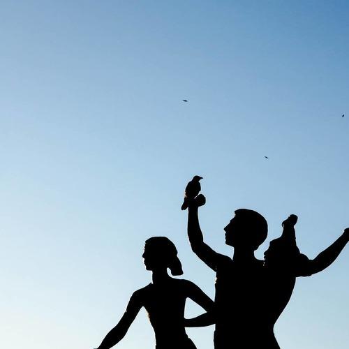 Photo #4893516