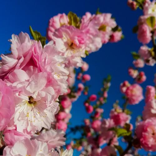 Photo #4893604