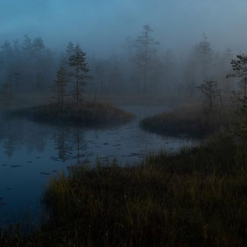 Photo #4893610