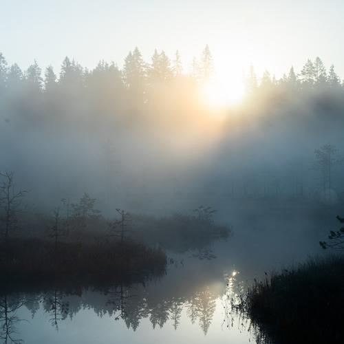 Photo #4893611