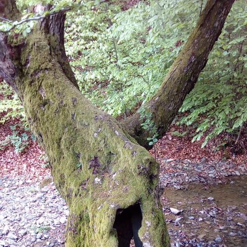 Photo #4893672