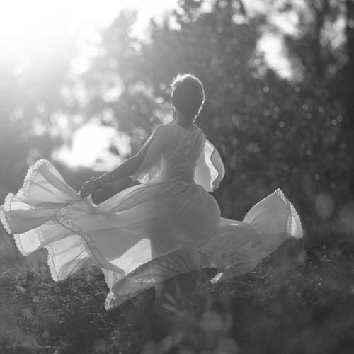 Photo #4893762