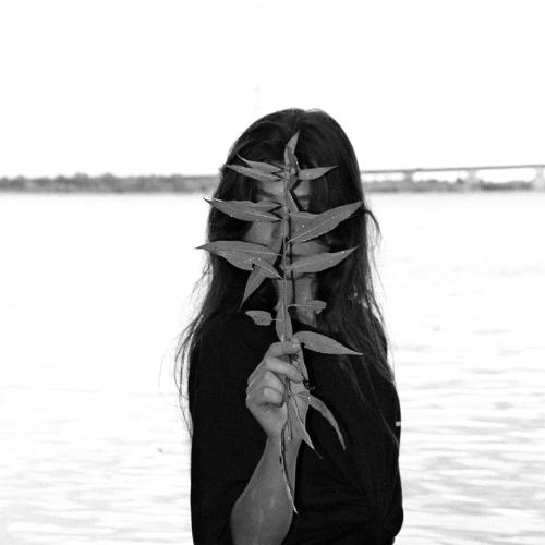 Photo #4894160