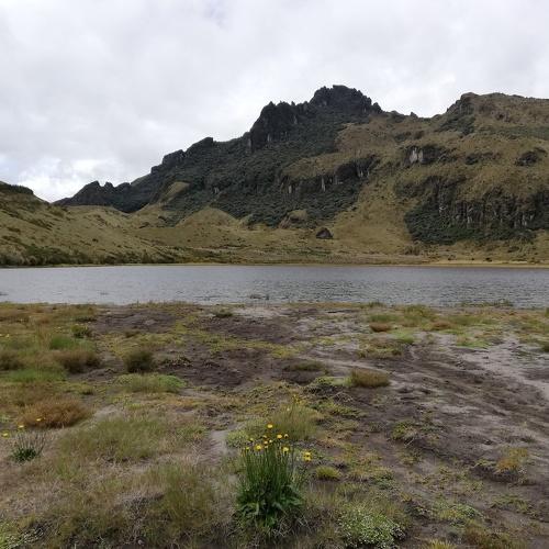 Photo #4894282