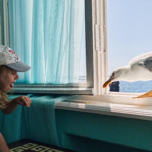 Photo #4894455