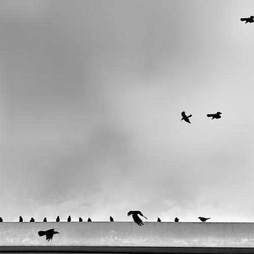Photo #4894662
