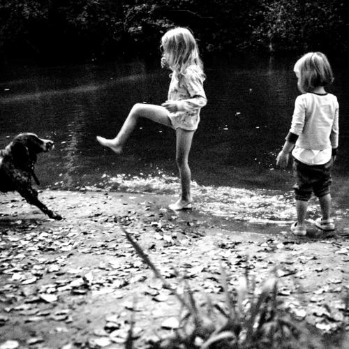 Photo #4895367