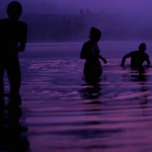 Photo #4895415