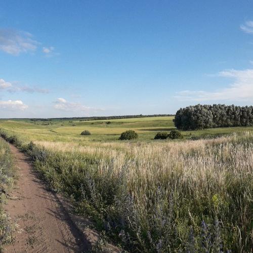 Photo #4895694