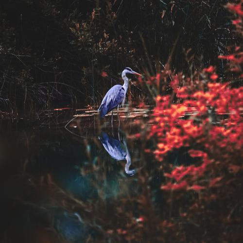 Photo #4895760