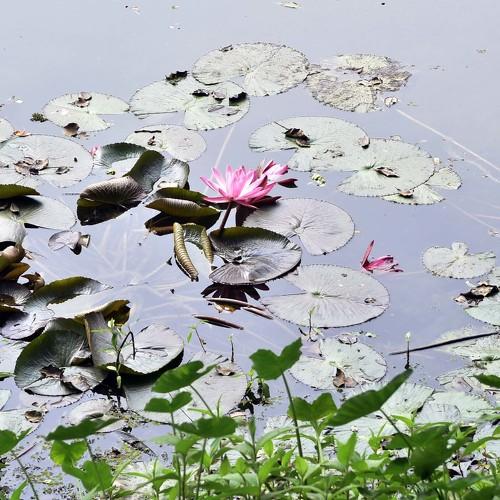 Photo #4895840