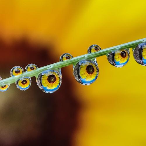 Photo #4895870