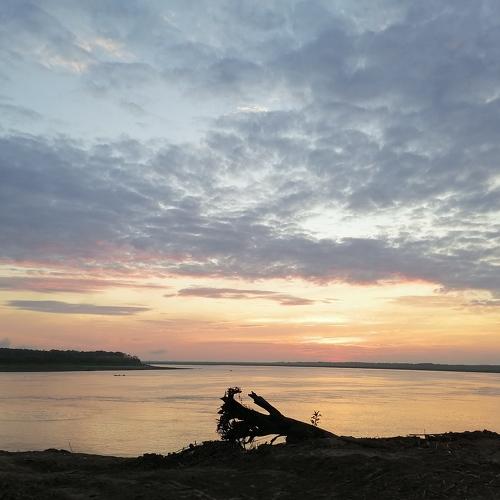 Photo #4895948