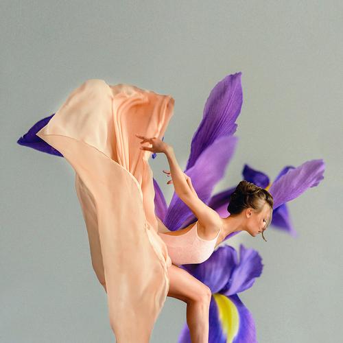 Photo #4895952