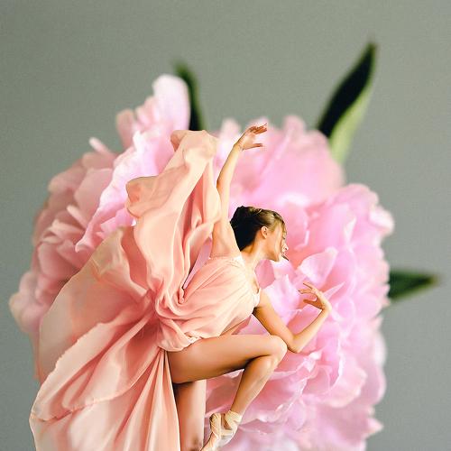 Photo #4895953