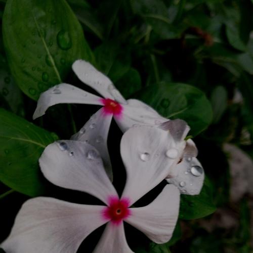 Photo #4896076