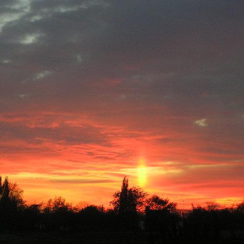 Photo #4896365