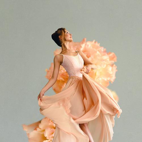 Photo #4896404